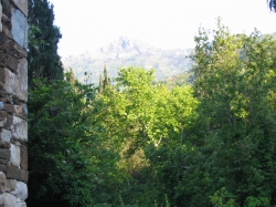 Blick auf das grüne Nachtigallental und den Berg Lazarus.